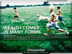 pinnacle-bank-straightforward