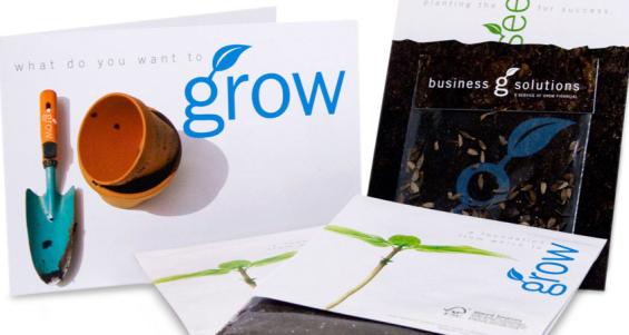 grow_financial_credit_union_brochures