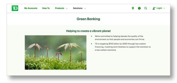 TD Bank psychographic targeting
