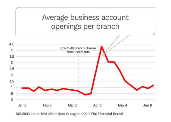 Average business account openings per branch