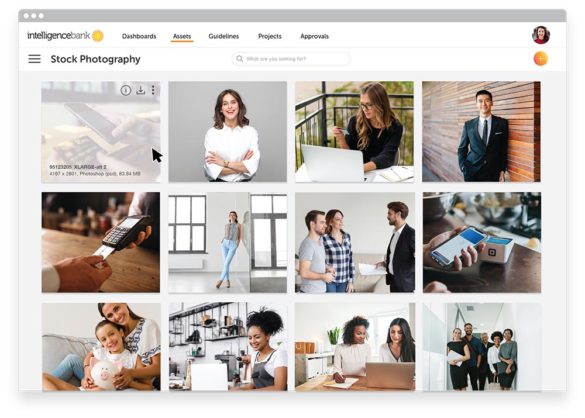 Intelligence finance DAM stock photography