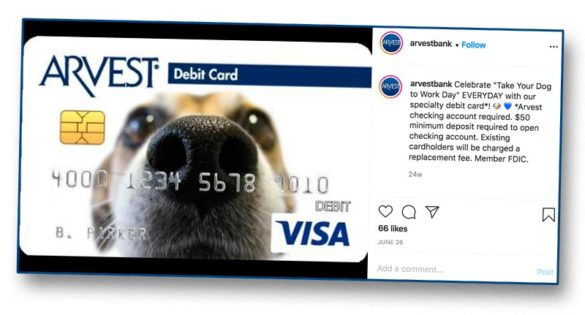 Dog nose Arvest card