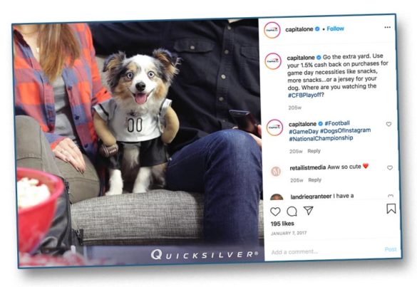 Capital One football dog