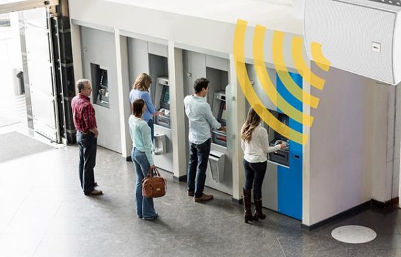 Axis Communications branch audio systems