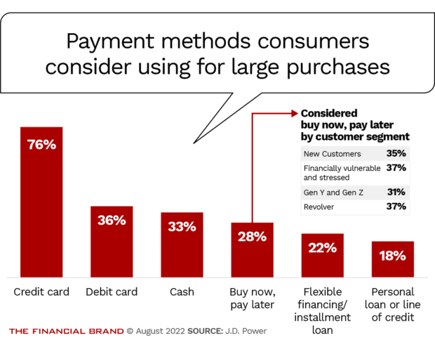 consumer consider using payment methods like credit and debit card cash buy now pay later loans and lines of credit for large purchases