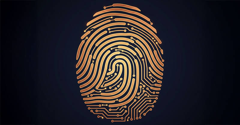 Intelligent Banking: A New Standard for Experience and Trust - The Financial Brand